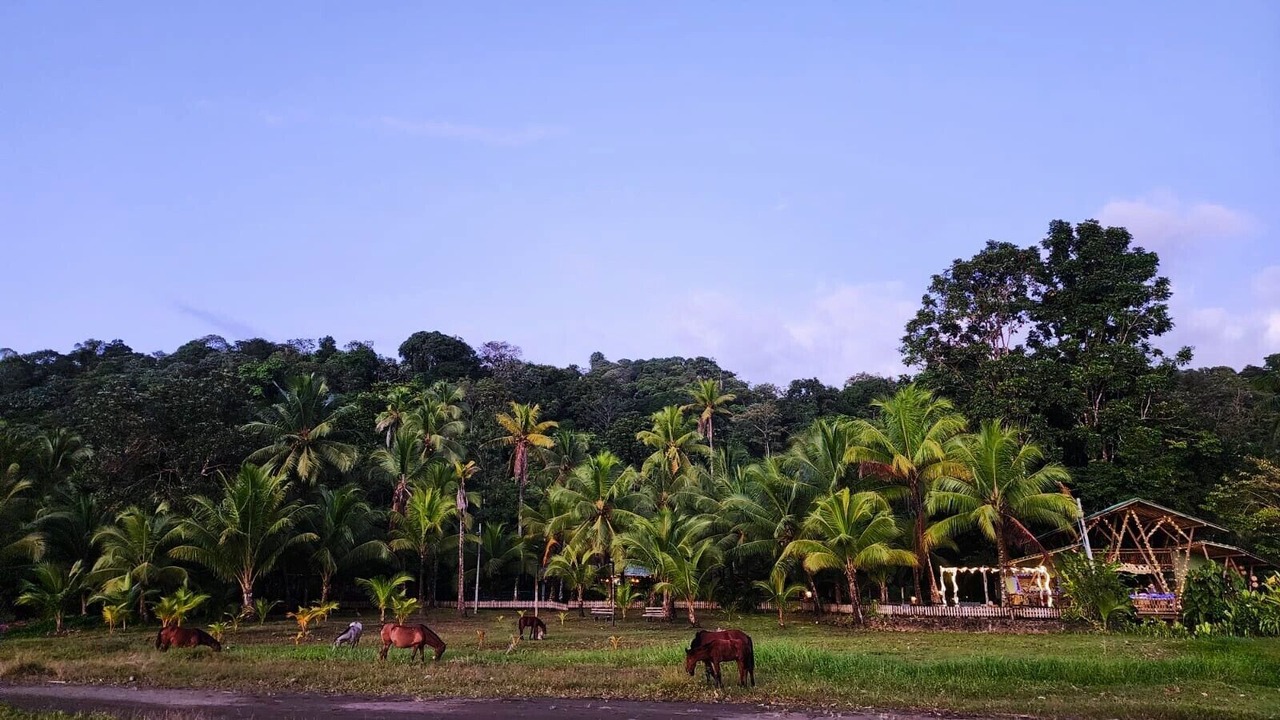 Photo of Outdoor in Bahia Solano