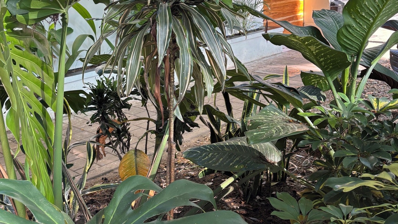 Photo of Outdoor in La Florida