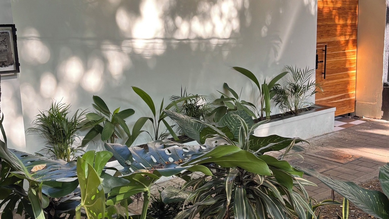 Photo of Outdoor in La Florida