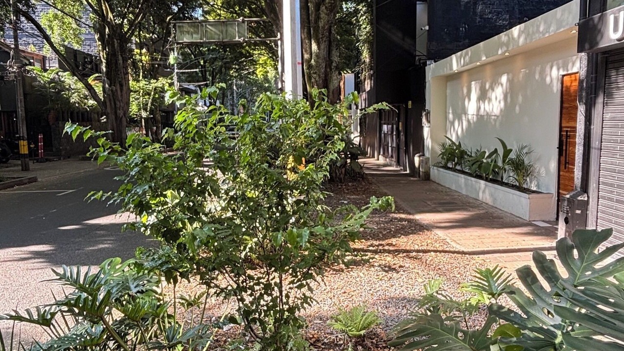 Photo of Outdoor in La Florida