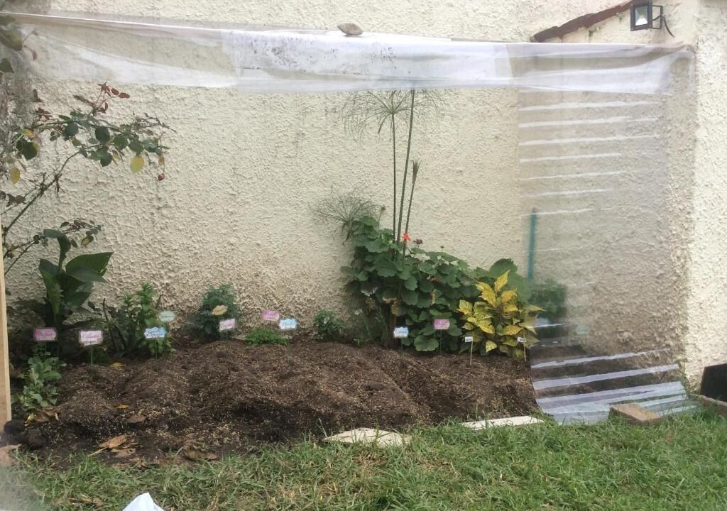 Photo of Outdoor in Usaquen