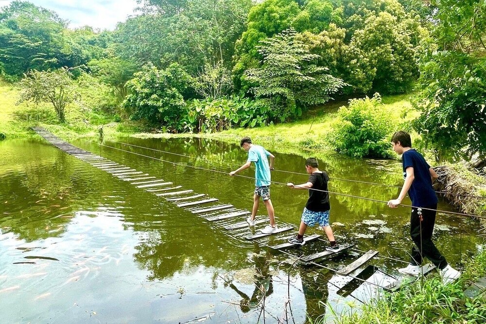 Photo of Others in Venadillo