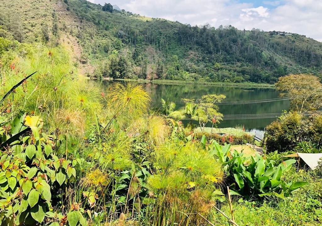 Photo of Outdoor in Bogota