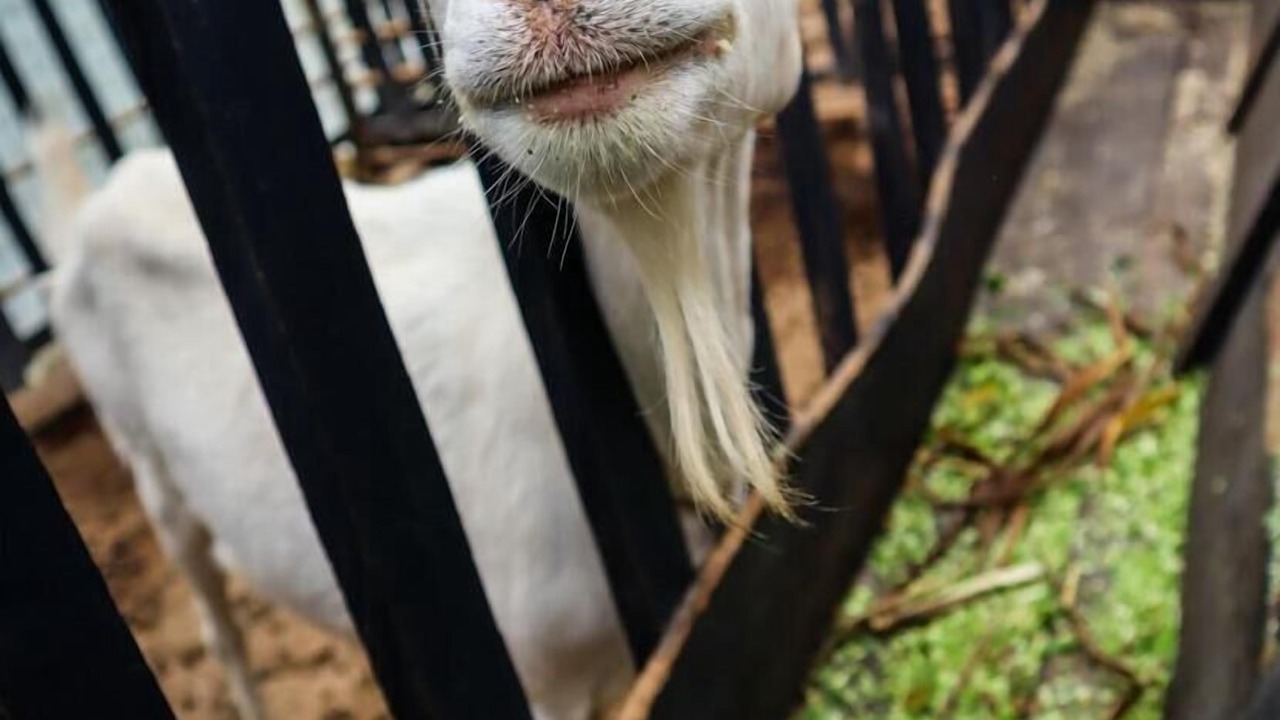 Photo of Livingroom in Bogota