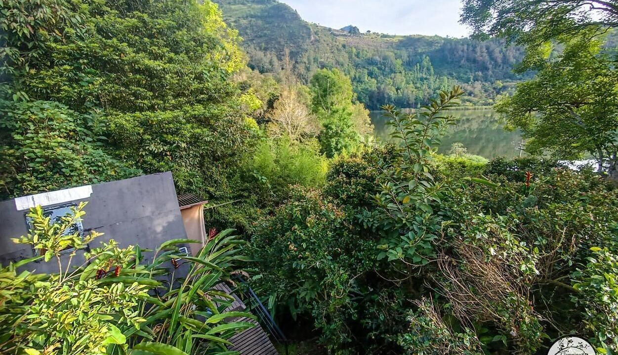 Photo of Outdoor in Bogota