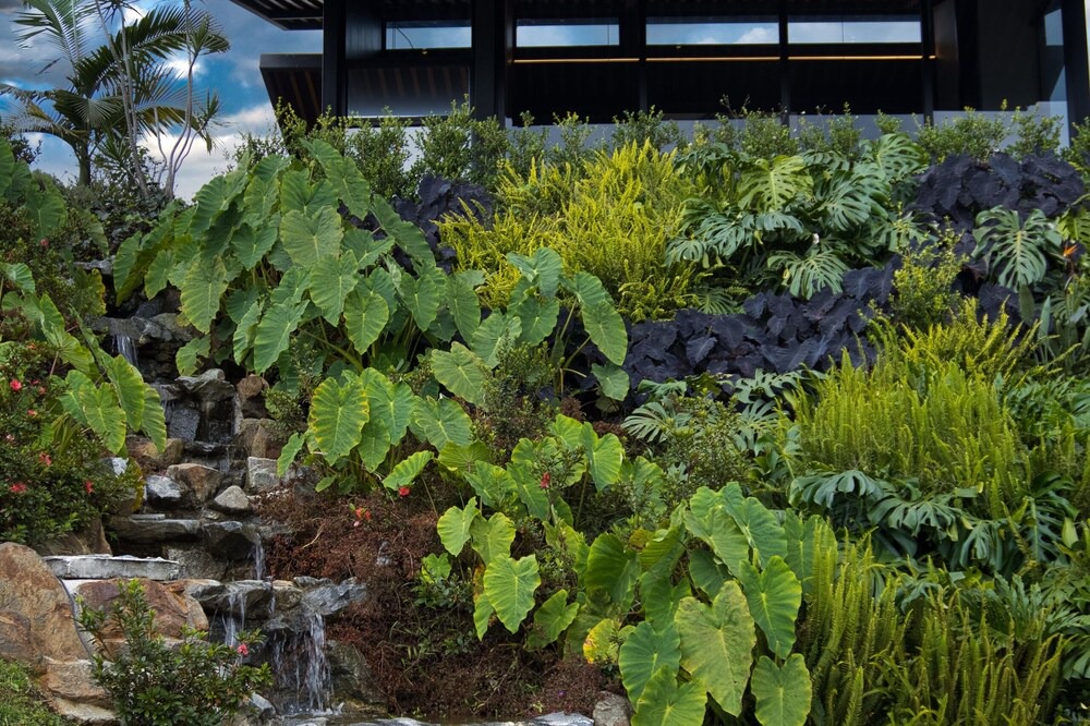 Photo of Outdoor in Guarne