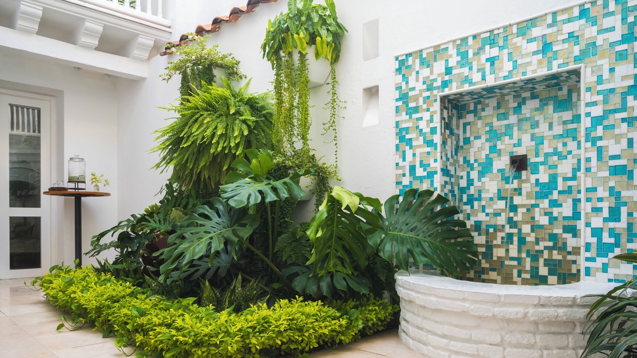 Photo of Outdoor in Cartagena Walled City
