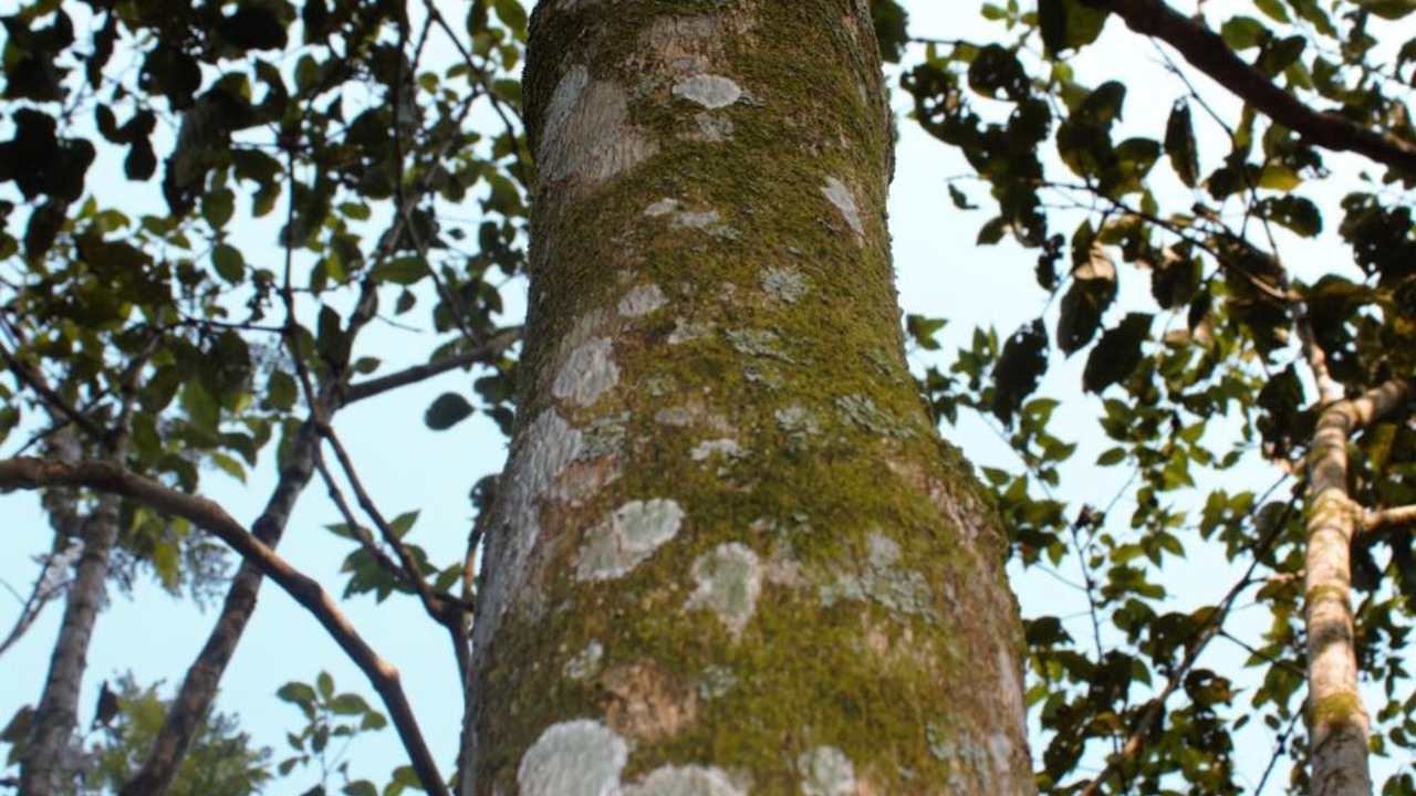 Photo of Others in Puerto Triunfo