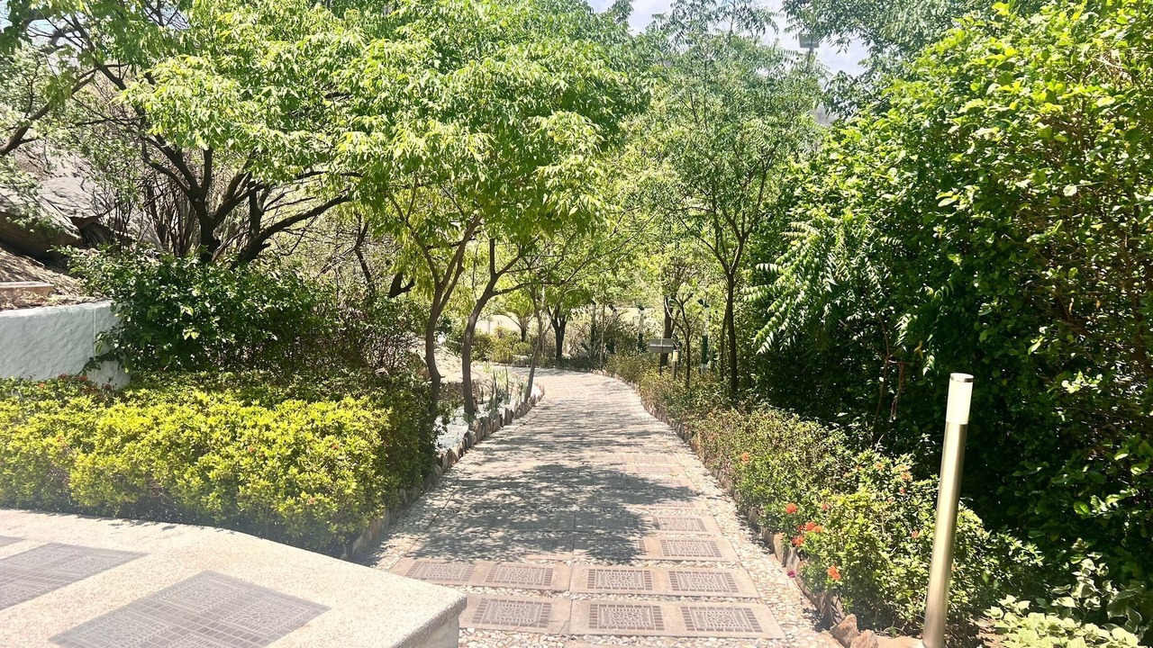 Photo of Outdoor in Pozos Colorados