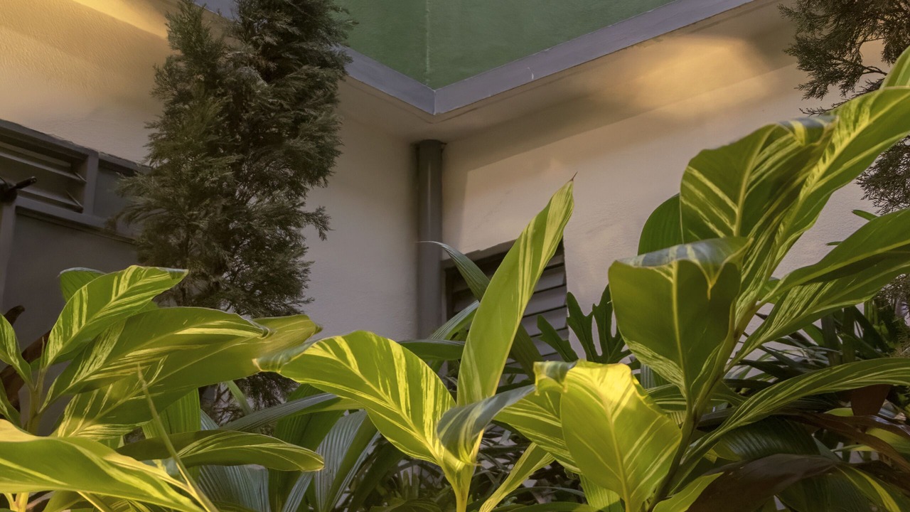 Photo of Outdoor in Pereira