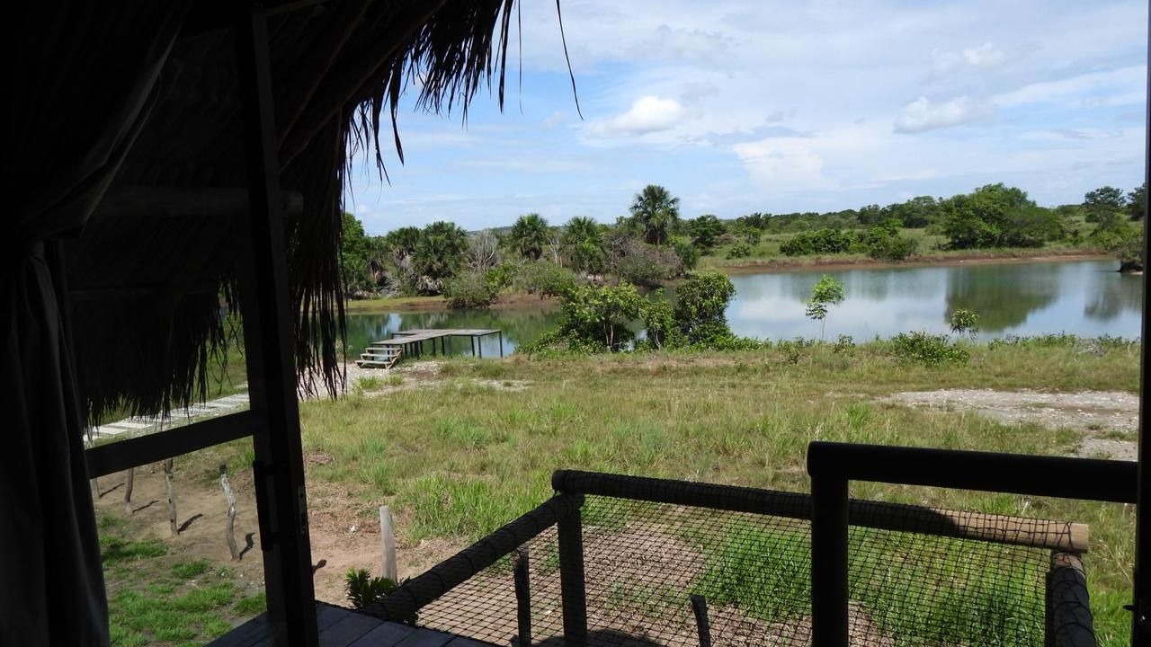 Photo of Patio Balcony in Puerto Gaitan