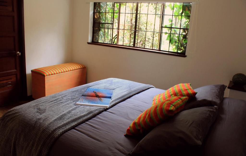 Photo of Others in La Candelaria