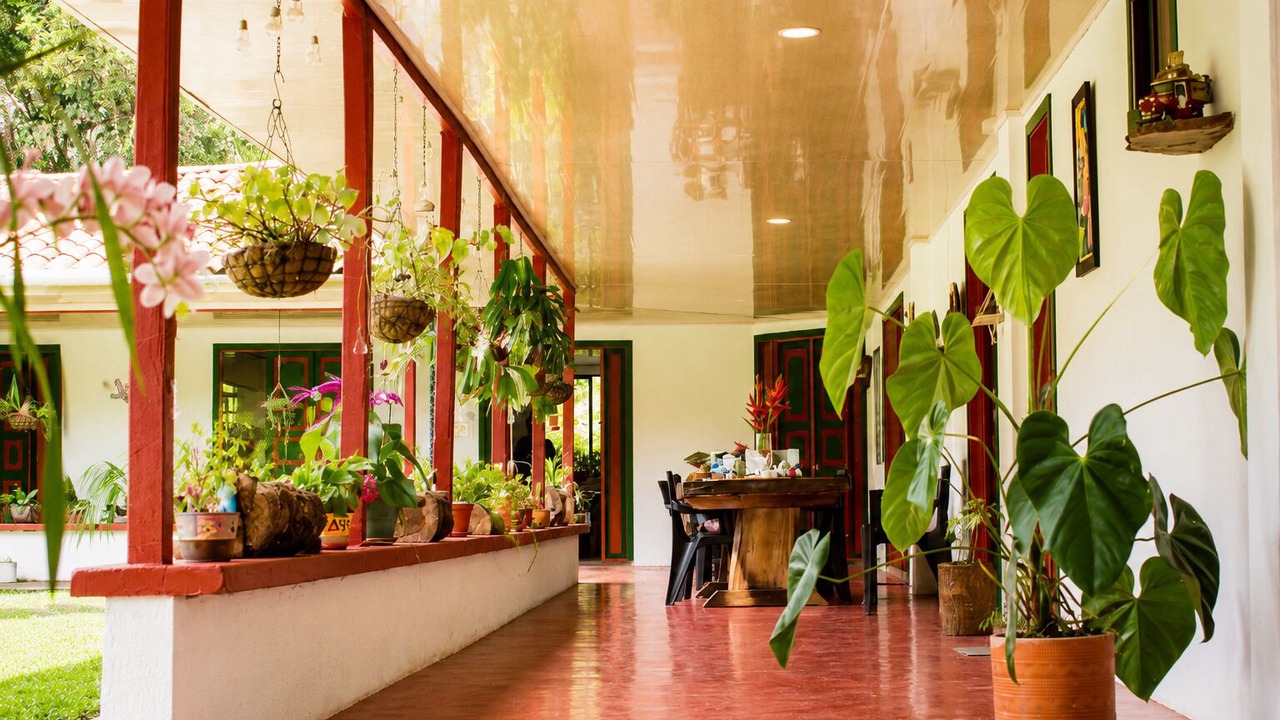 Photo of Outdoor in Alegrias