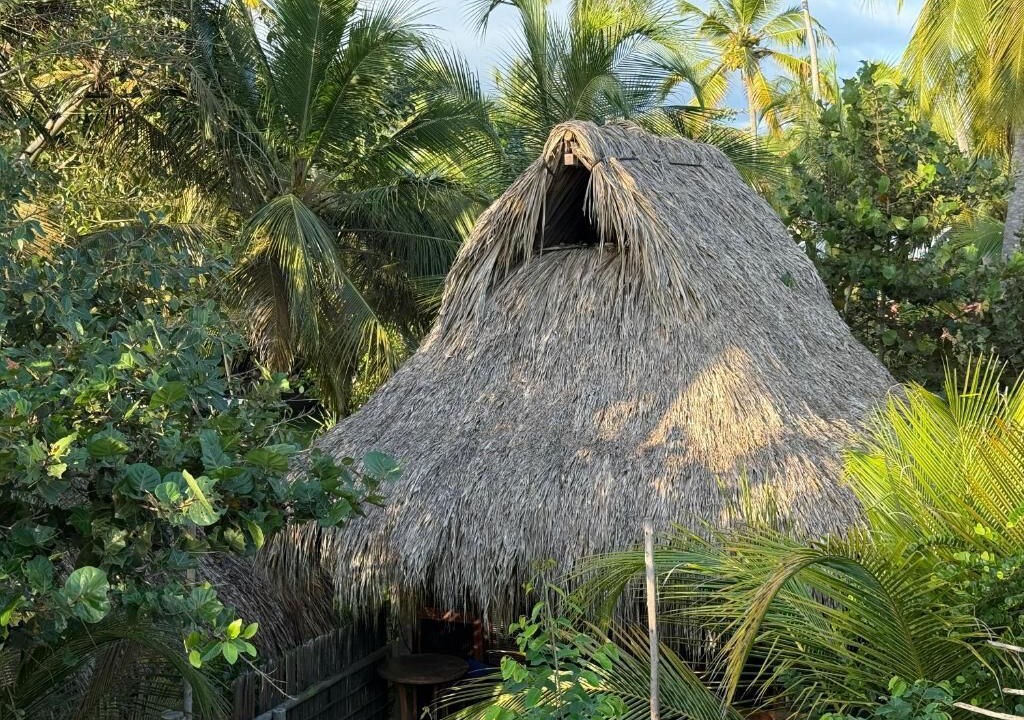 Photo of Outdoor in Guachaca