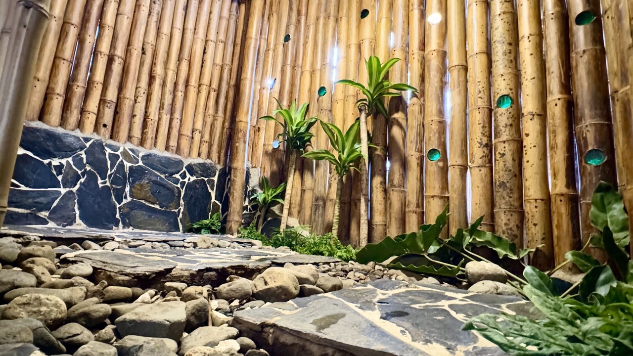 Photo of Outdoor in Calima