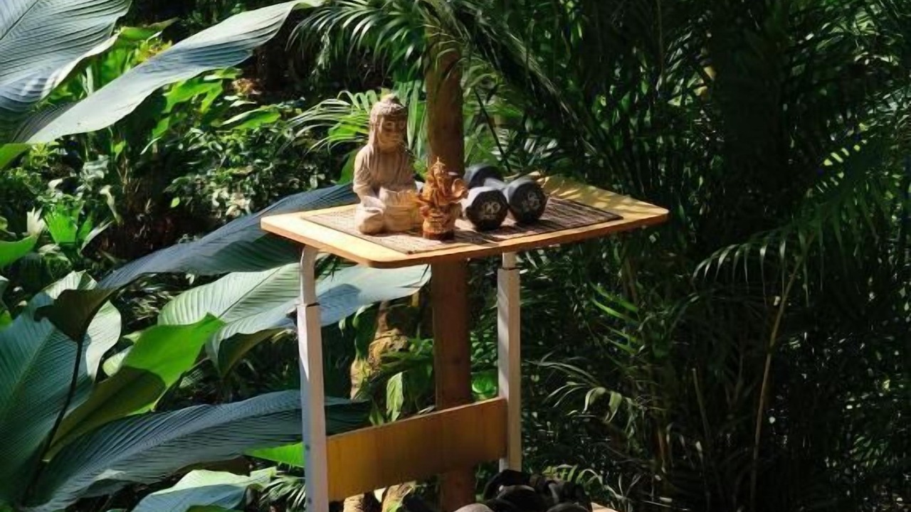 Photo of Patio Balcony in Calabazo