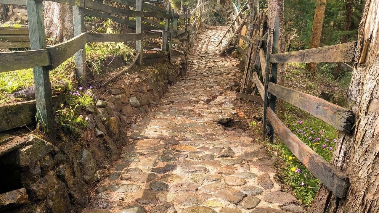 Photo of Others in Guarne