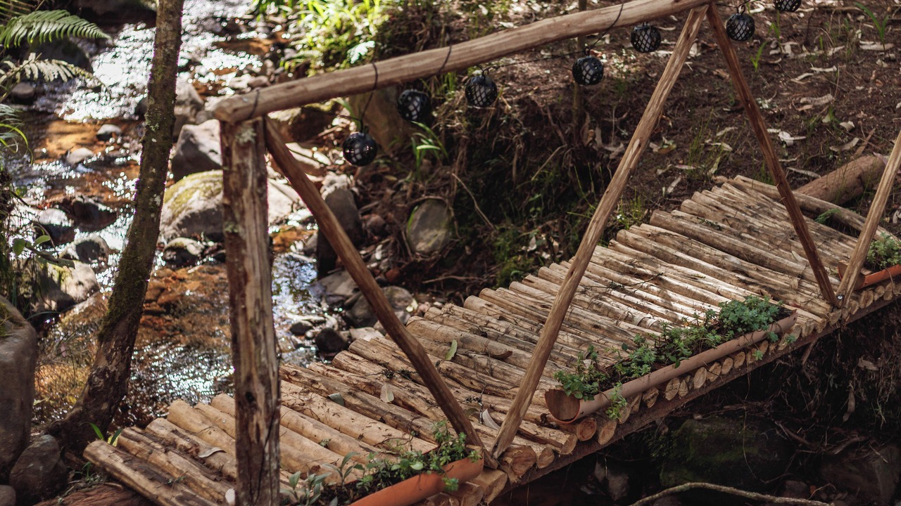 Photo of Outdoor in Los Nomos