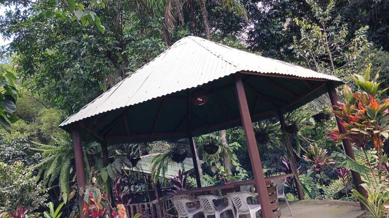 Photo of Outdoor in Minca