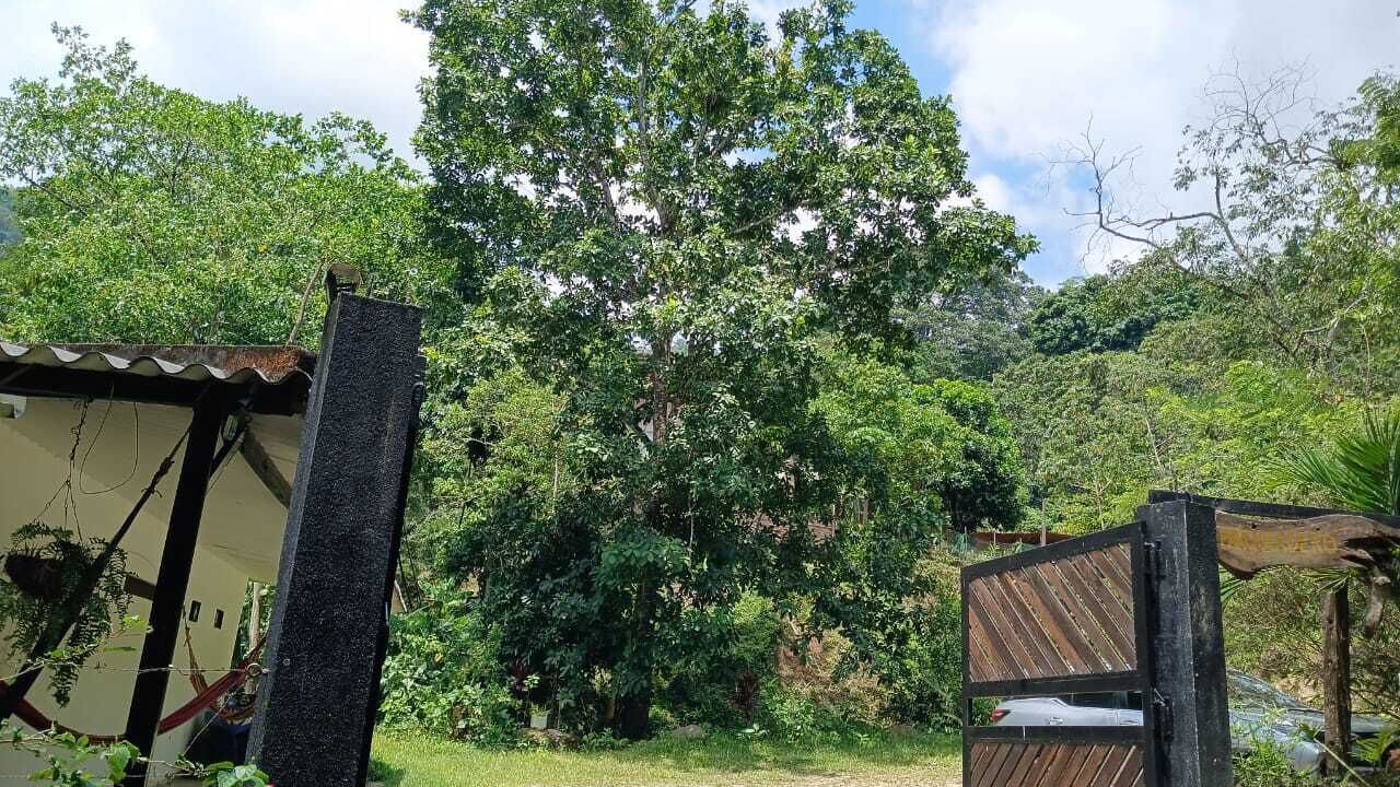 Photo of Outdoor in Minca
