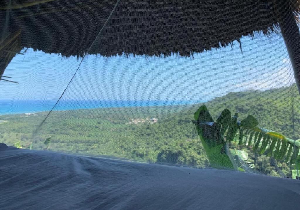 Photo of Bedroom in Buritaca