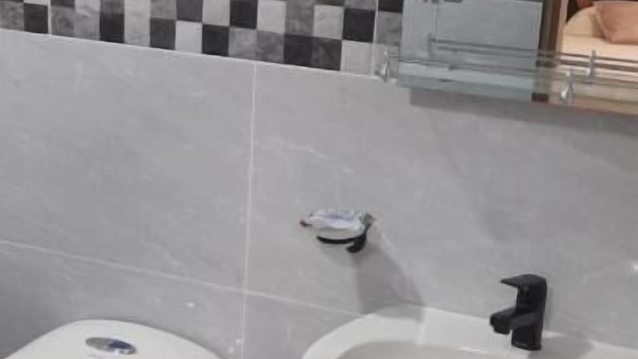 Photo of Bathroom in Providencia
