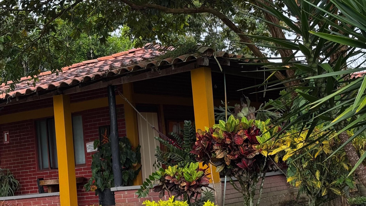 Photo of Outdoor in La Tebaida