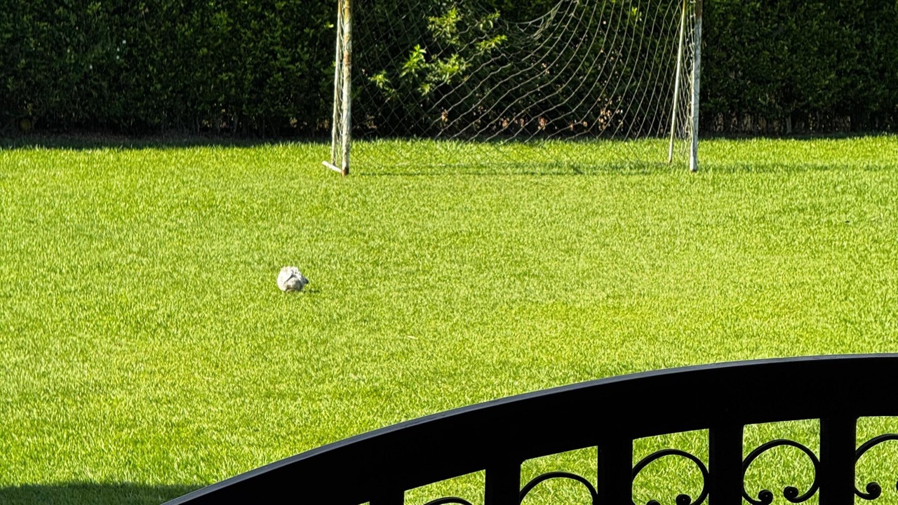 Photo of Outdoor in La Tebaida