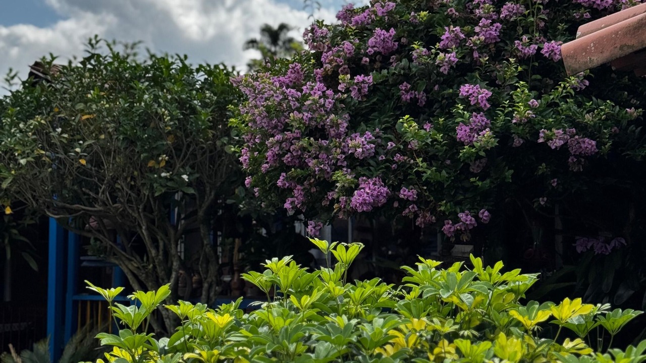 Photo of Outdoor in La Tebaida