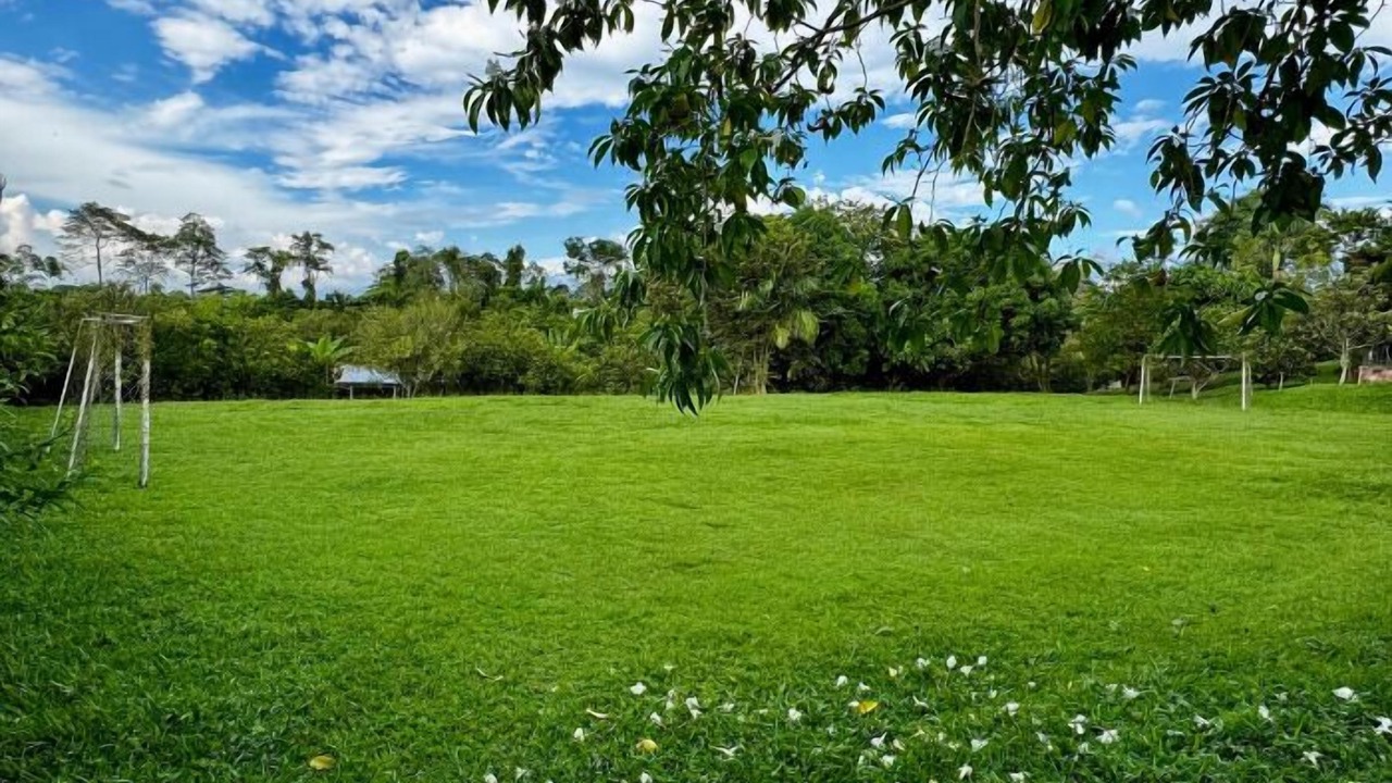 Photo of Outdoor in La Tebaida