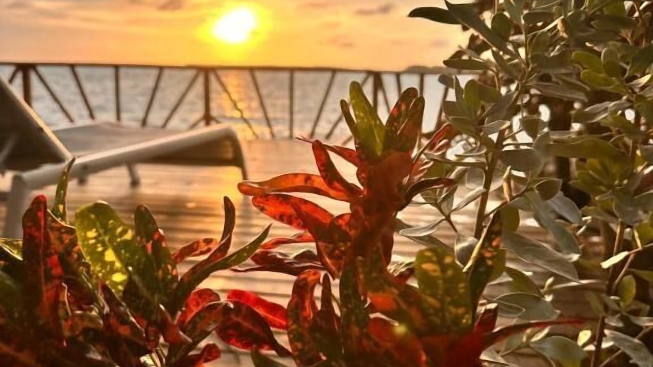 Photo of Outdoor in Rosario Islands