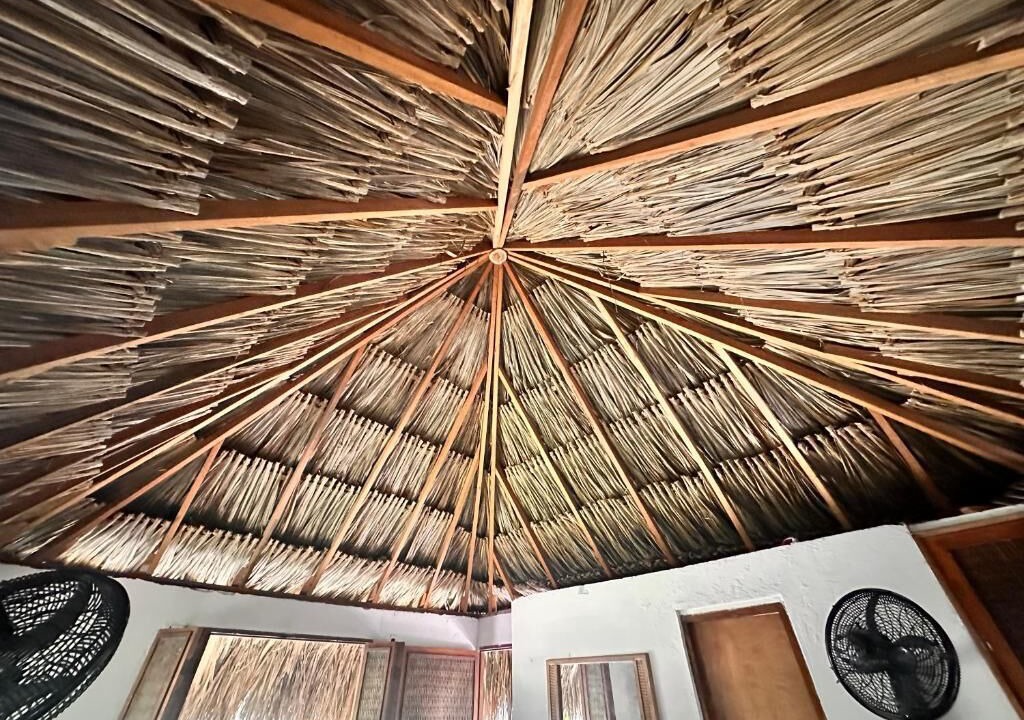 Photo of Others in Rosario Islands