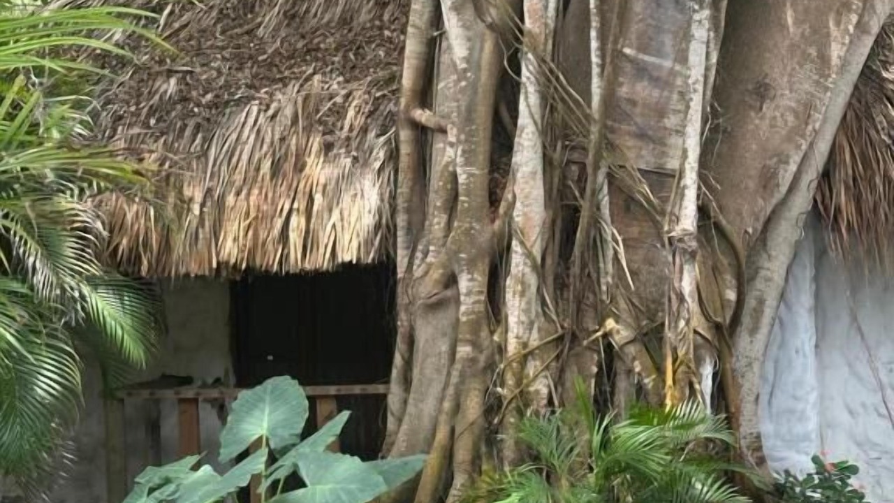 Photo of Outdoor in Rosario Islands