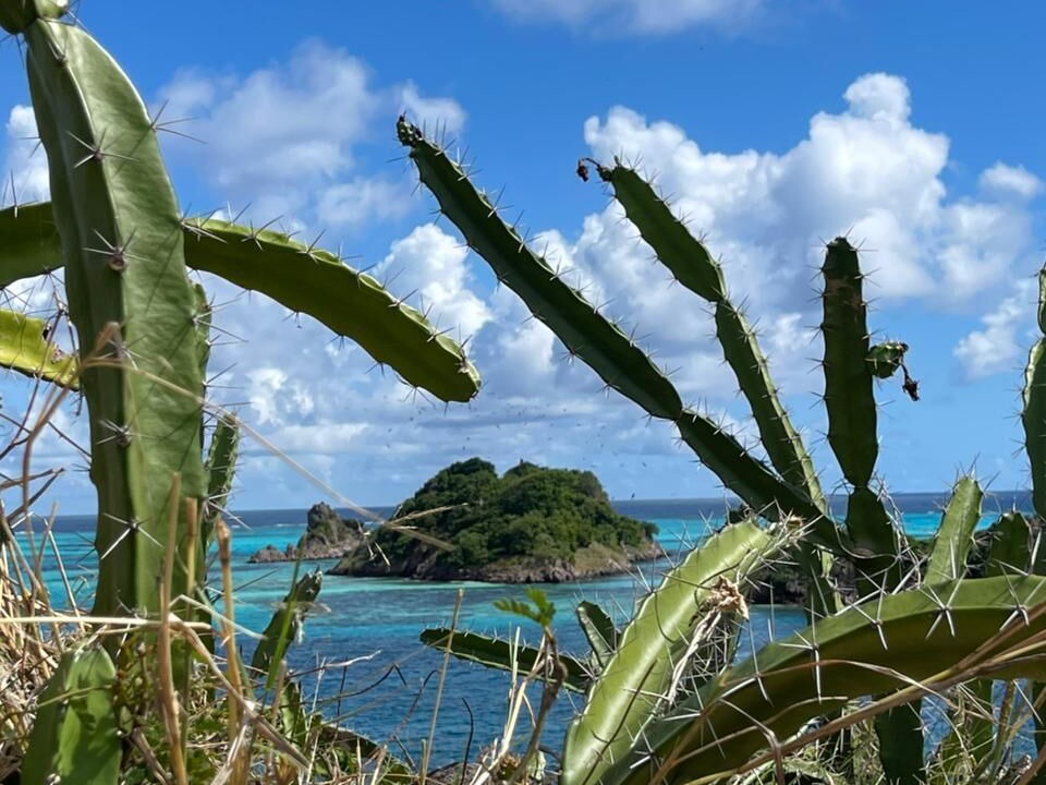 Photo of Outdoor in Bahia Suroeste