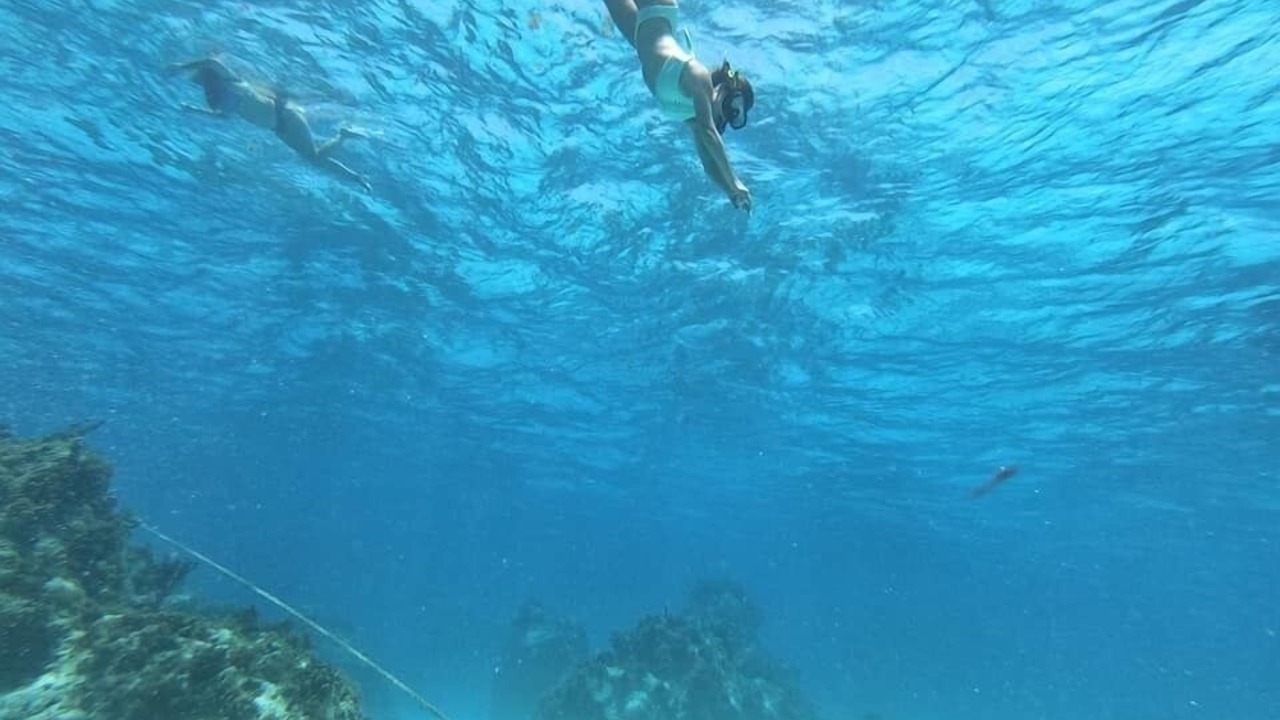 Photo of Others in Bahia Suroeste