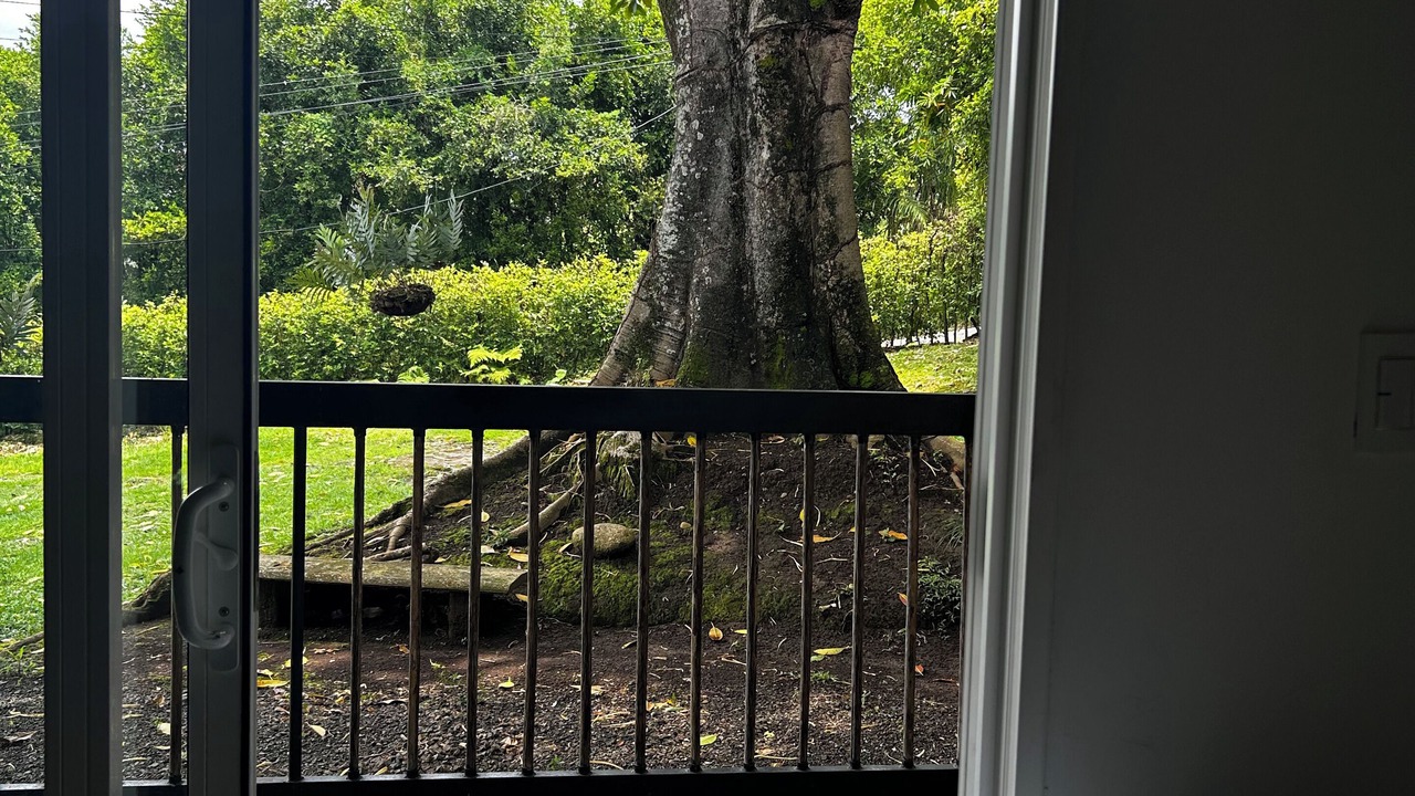 Photo of Outdoor in Pereira