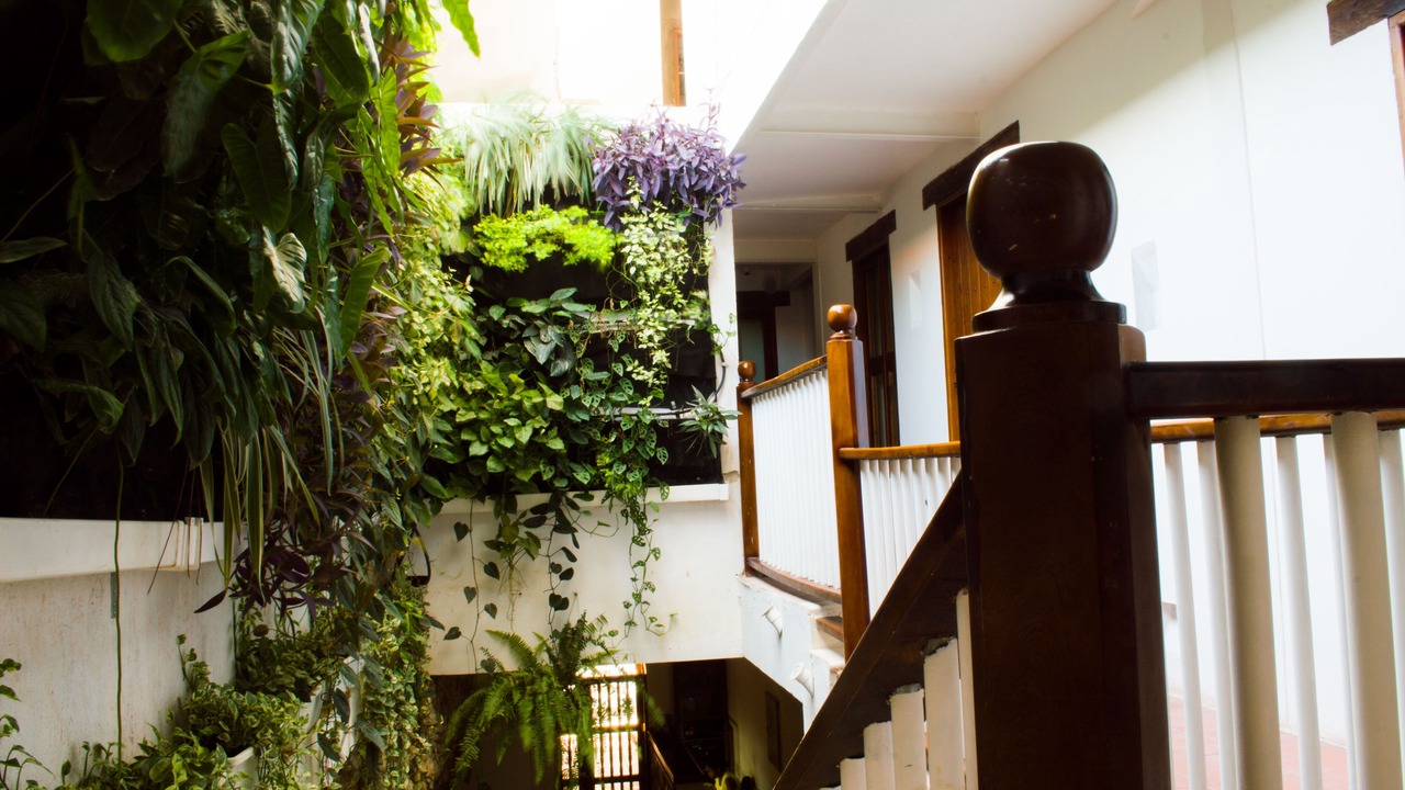 Photo of Others in Cartagena Walled City