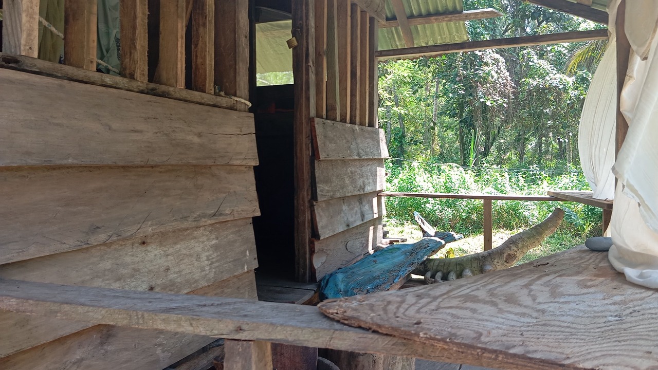 Photo of Others in Uramba National Park