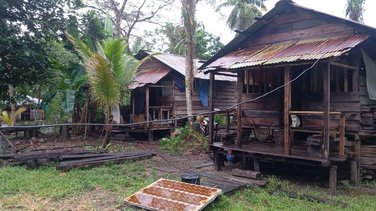 Photo of Others in Uramba National Park