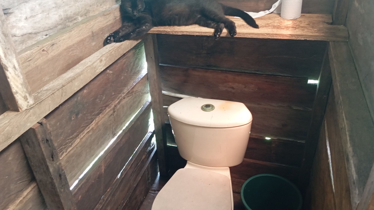 Photo of Bathroom in Uramba National Park