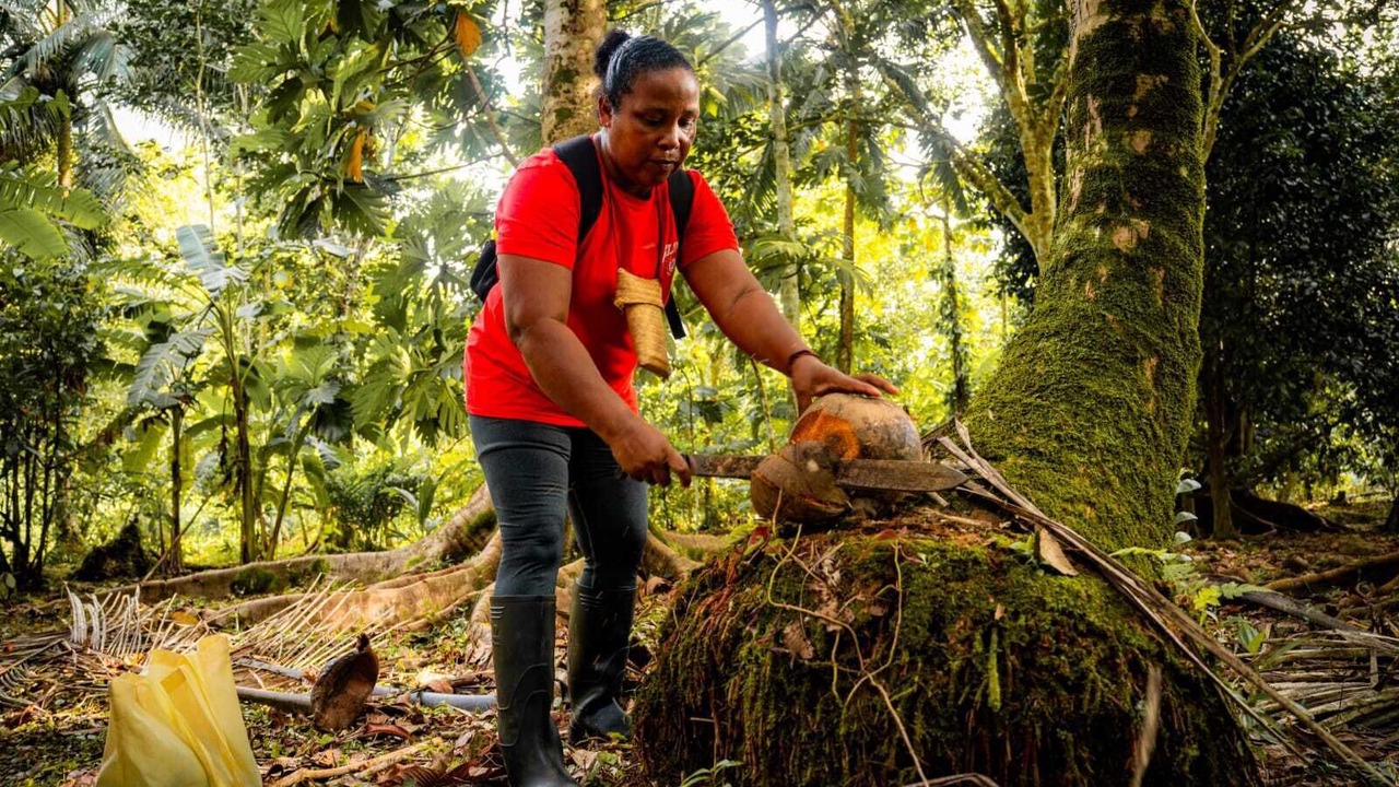 Photo of Outdoor in Nuqui