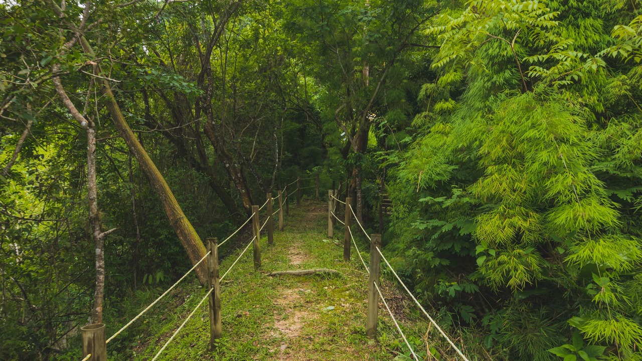 Photo of Outdoor in Minca