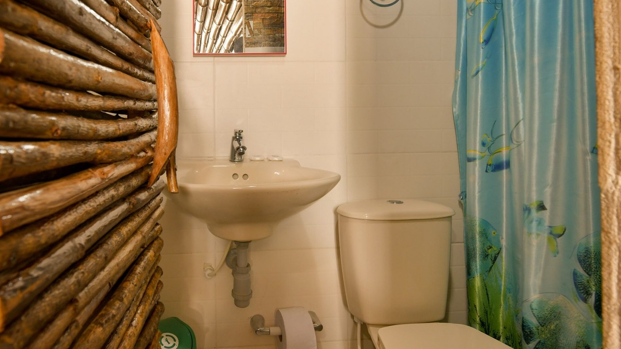 Photo of Bathroom in Punta Hansa