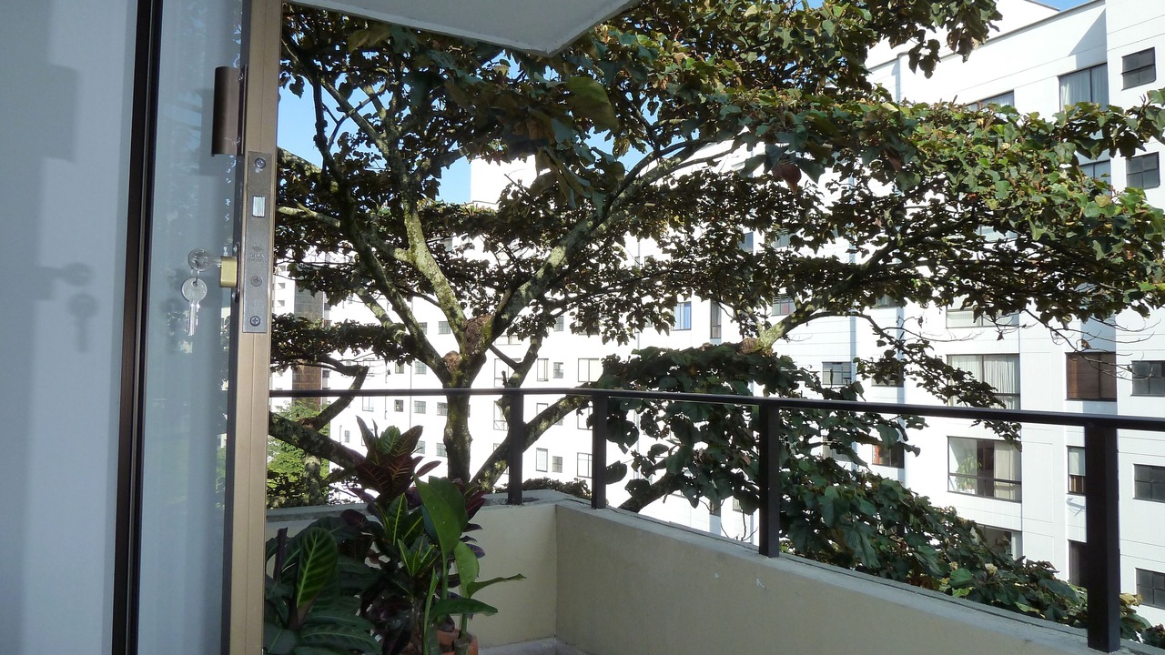 Photo of Outdoor in La Florida