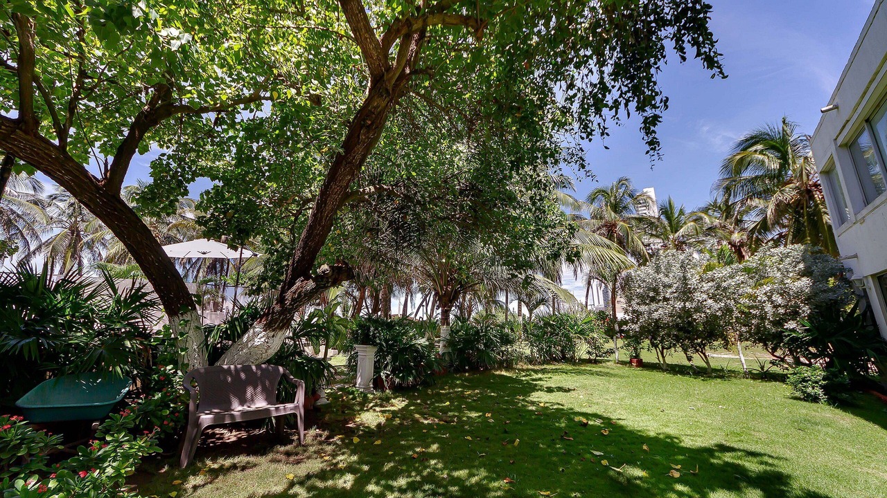 Photo of Outdoor in El Laguito