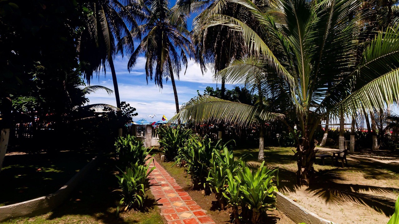 Photo of Outdoor in El Laguito