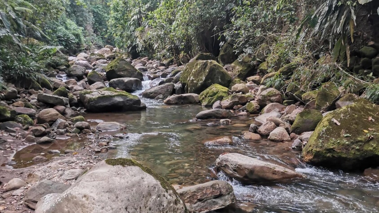 Photo of Outdoor in Acacias