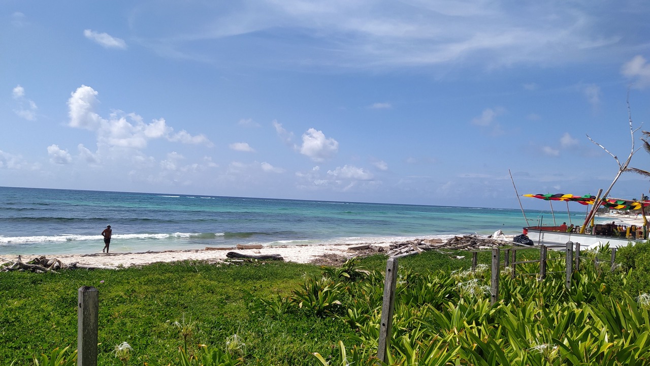 Photo of Others in Punta Sur