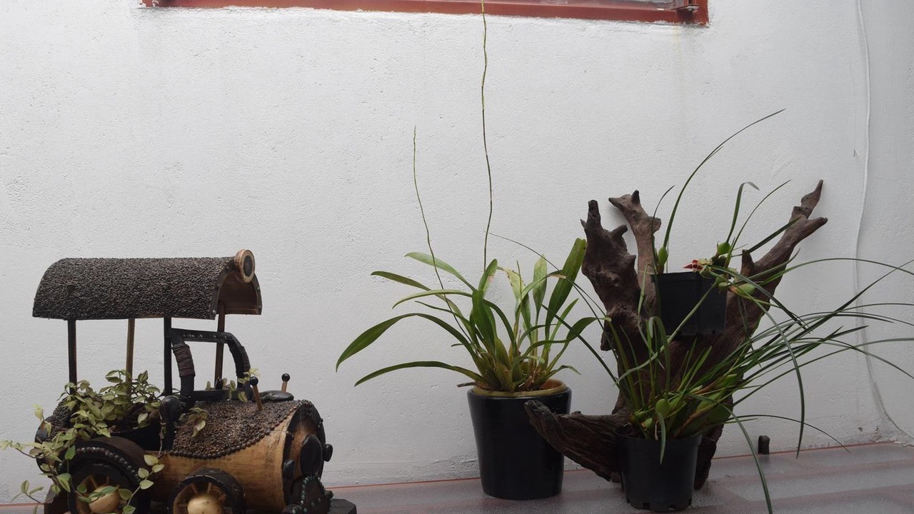 Photo of Others in San Agustin