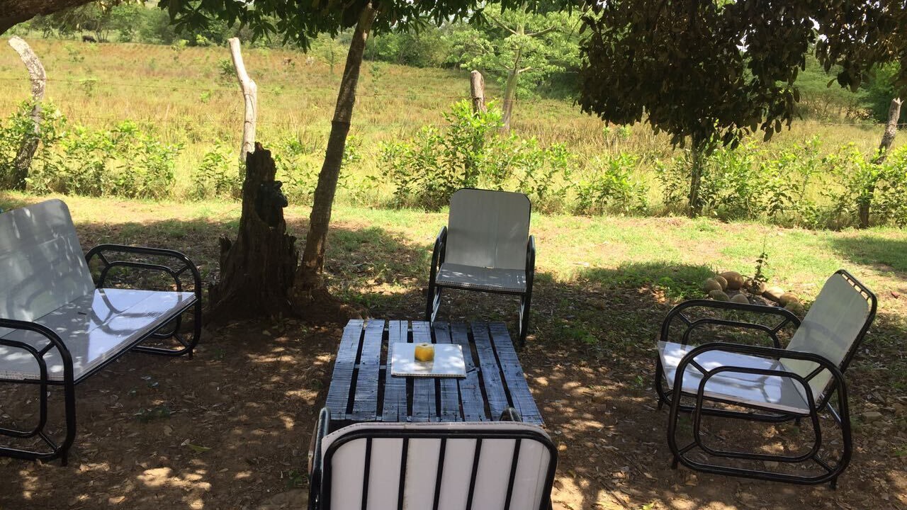 Photo of Patio Balcony in Tolima
